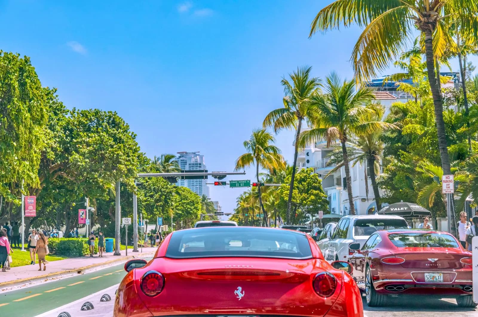 Autos circulando entre palmeras en Miami Beach